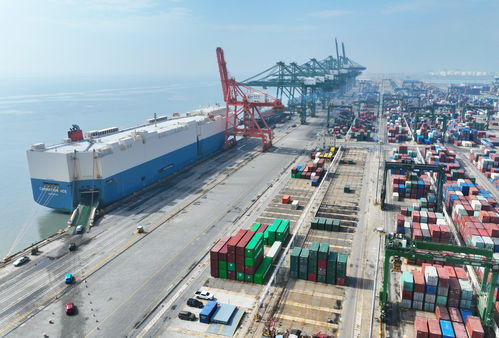 人民日報(bào)金社平 中國新能源產(chǎn)業(yè)發(fā)展是全球性貢獻(xiàn)和機(jī)遇